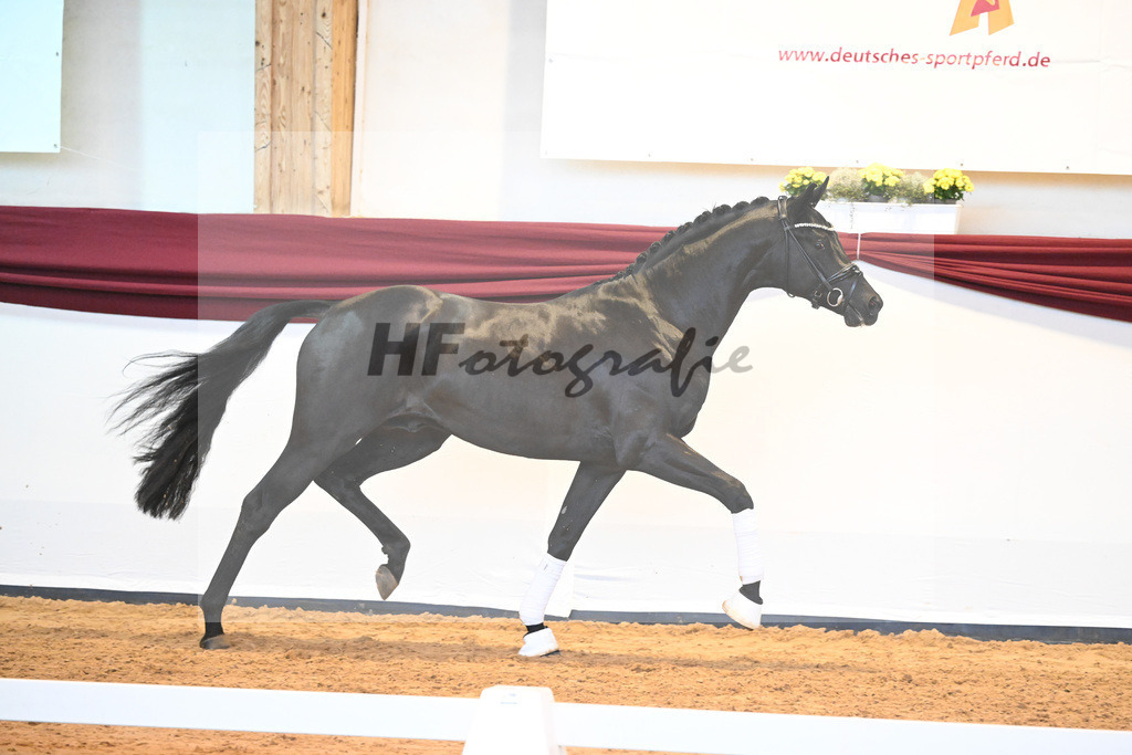 Kat-Nr. 8 v. Bon Courage_Maier_66220159 | hf-fotografie - Realisiert mit Pictrs.com