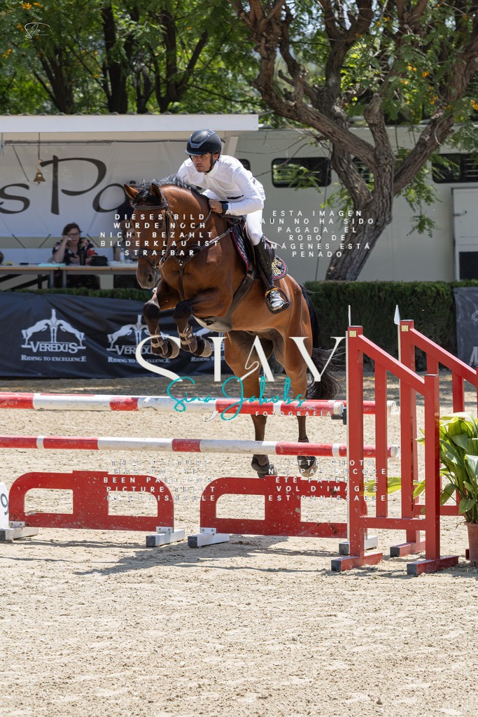 IMG_7363 | s-jay-photography - Realisiert mit Pictrs.com