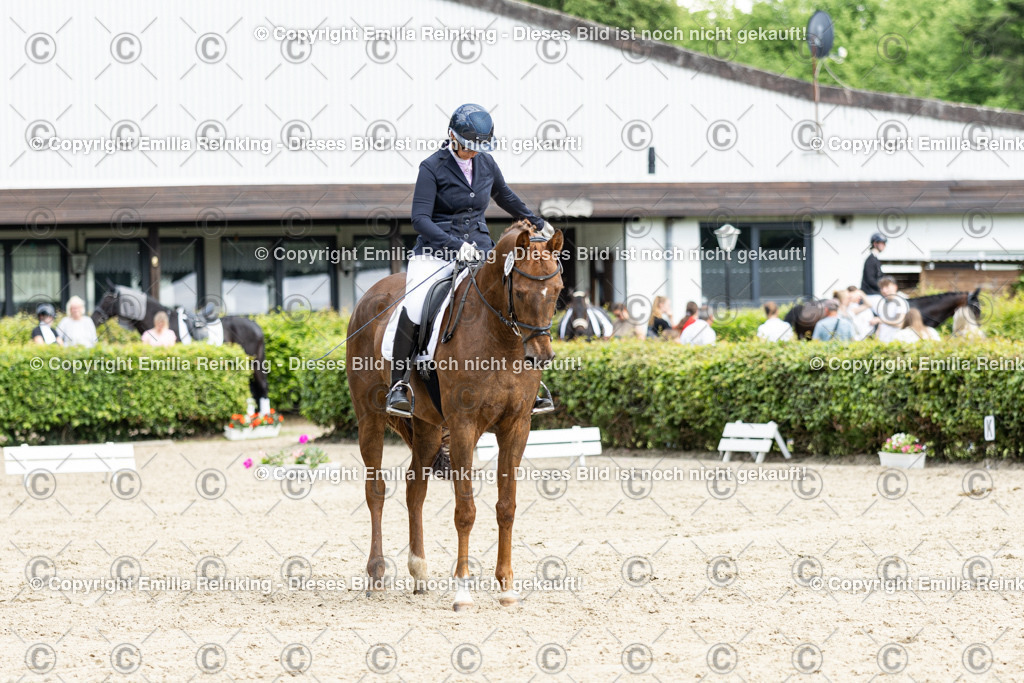 CL5A4931-2 | Emilia Reinking Fotografie - Realisiert mit Pictrs.com