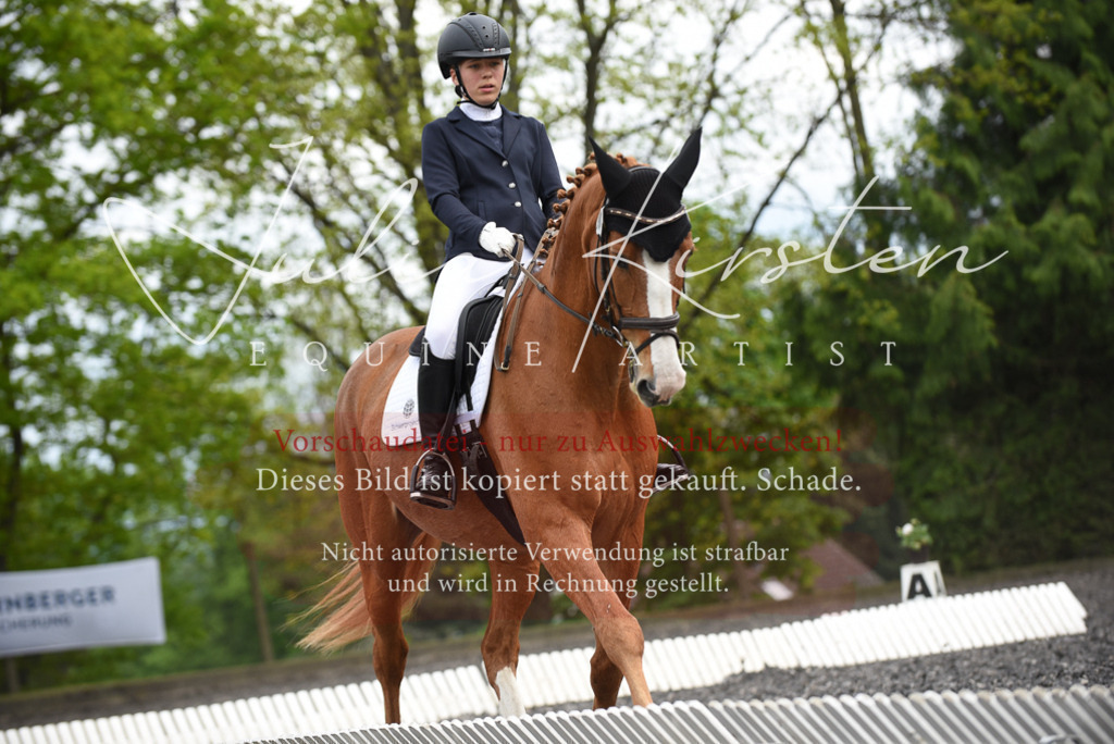 20230513_JK-Röhrsdorf-16-181 | Pferde- und Turnierfotografie in Westsachsen. Pferdeportraits, Auftragszeichnungen und intuitive Kunst.
