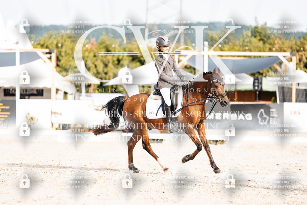 CK904060 | Turnierfotografie Pferdefotografie Trier Rheinland-Pfalz Pferdesport Reitsport Tierfotografie Sportfotografie Pferdevideo Pferdevideografie Equestrianvideography equestrianphotography  - Realisiert mit Pictrs.com