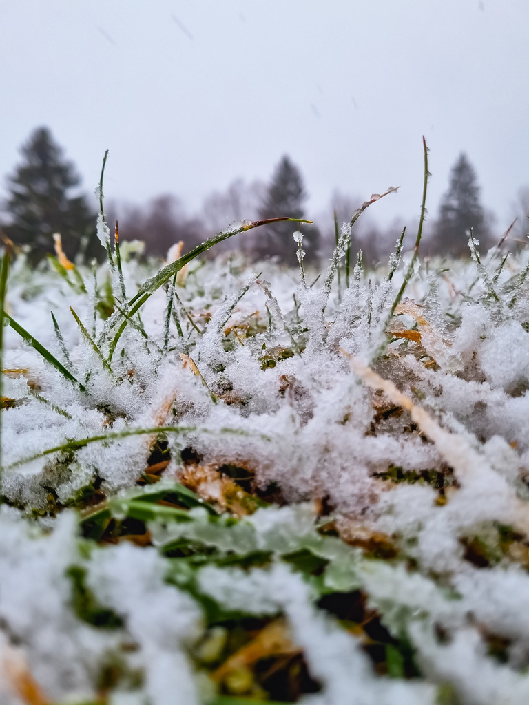 PSX_20230115_213837 | mtkfoto_ - Realisiert mit Pictrs.com