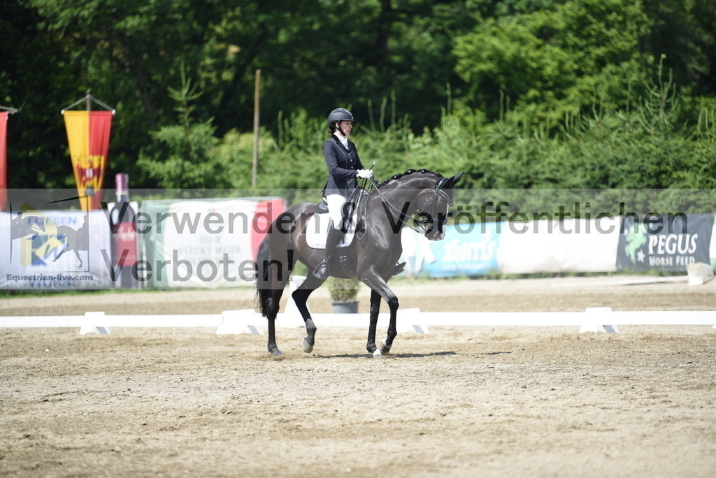 DSC_9019 | equestrian-live-com