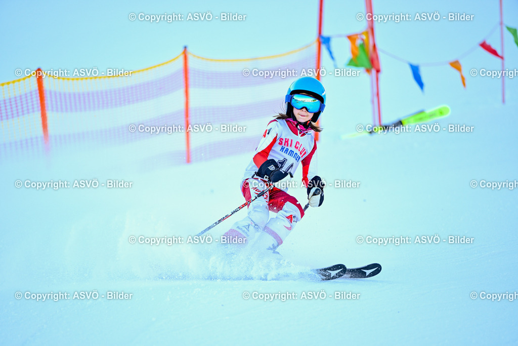 ASVÖ_ Skitrophy 2025_ 02.02.2025-85 | 02.02.2022, Hinterstoder, AUT, ASVÖ, Skitrophy 2025 im Bild Teilnehmer©Harald Dostal / fodo.media - Realisiert mit Pictrs.com