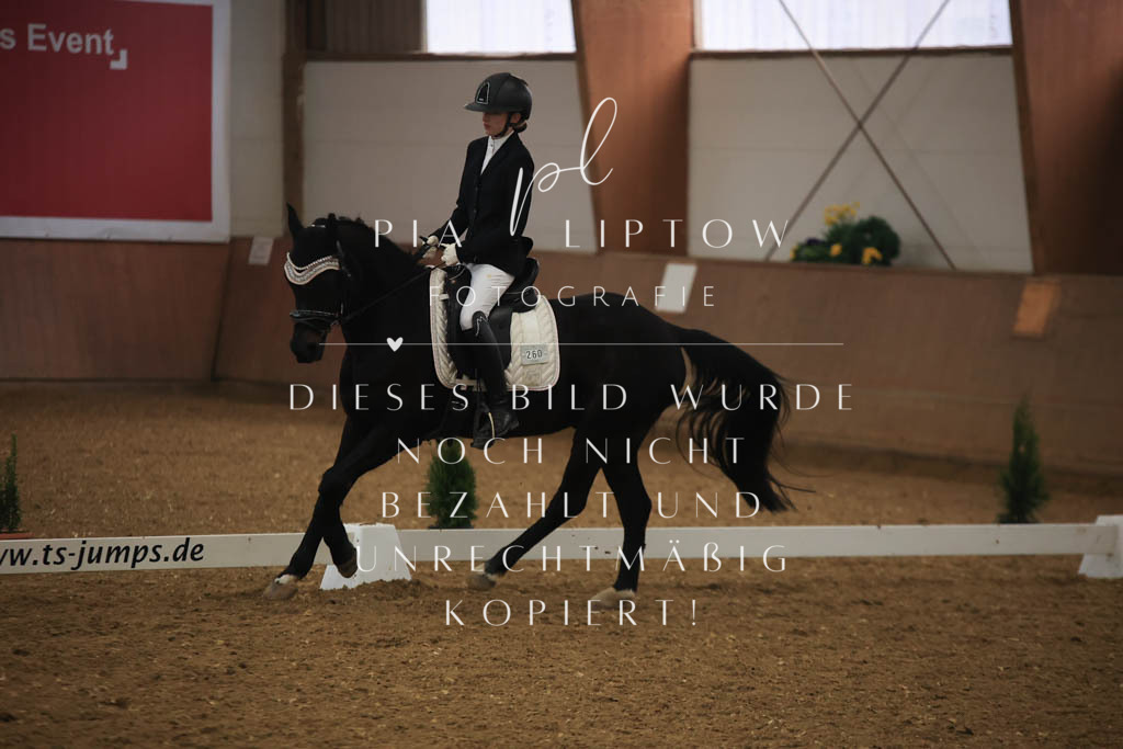 IMGT1064 | pl-fotografie