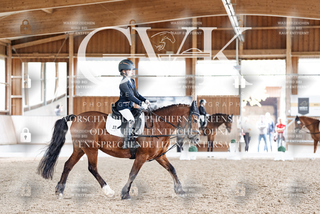 CK900715 | Turnierfotografie Pferdefotografie Trier Rheinland-Pfalz Pferdesport Reitsport Tierfotografie Sportfotografie Pferdevideo Pferdevideografie Equestrianvideography equestrianphotography  - Realisiert mit Pictrs.com