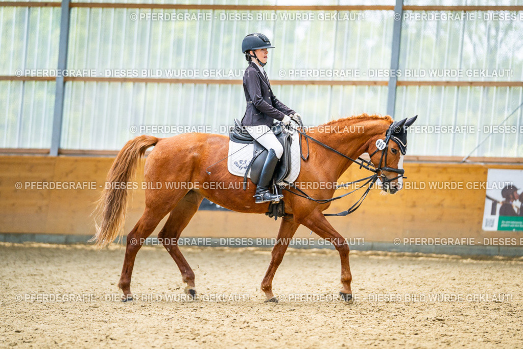 DSC04341 | Pferdegrafie