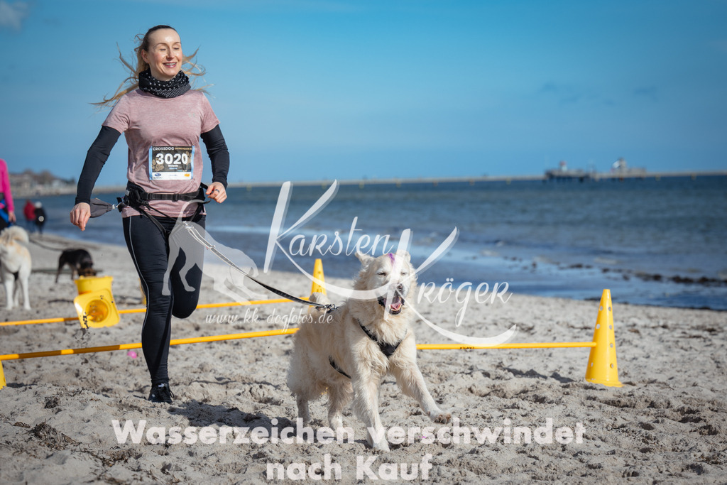 1345_ZZ93275 | kk-dogfotos