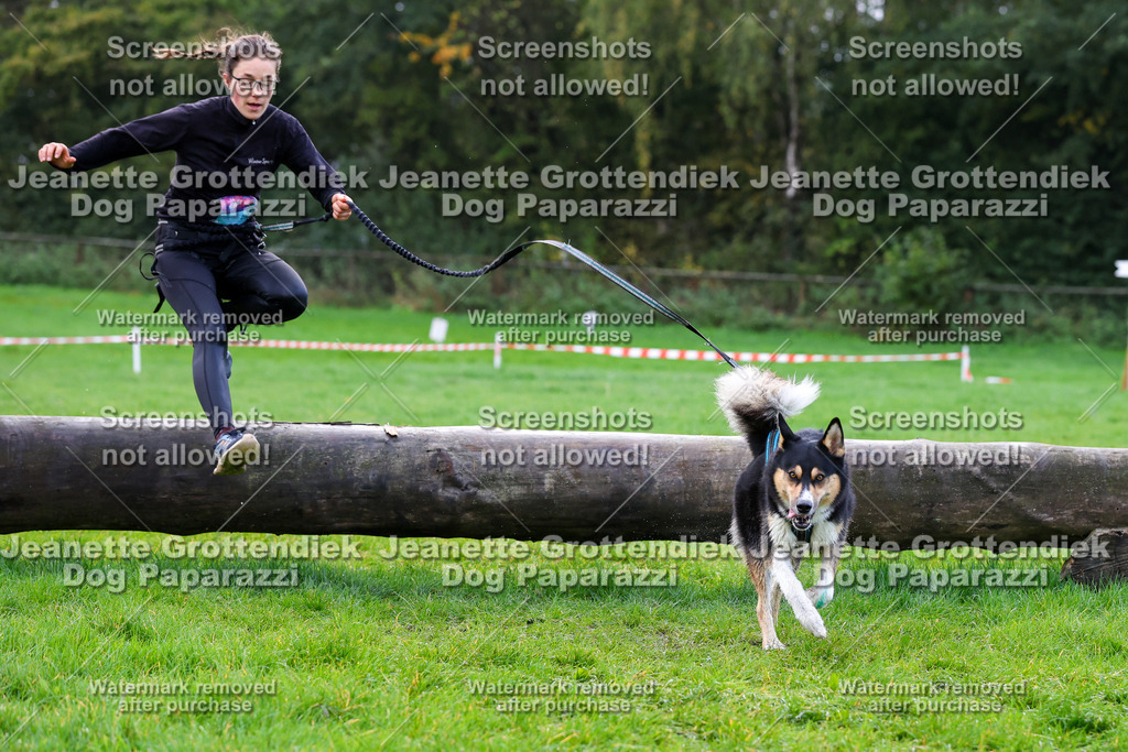 Dog Paparazzi -  SD1026-1173 | Dog Paparazzi Jeanette Grottendiek Fotografie & Videografie - Realisiert mit Pictrs.com
