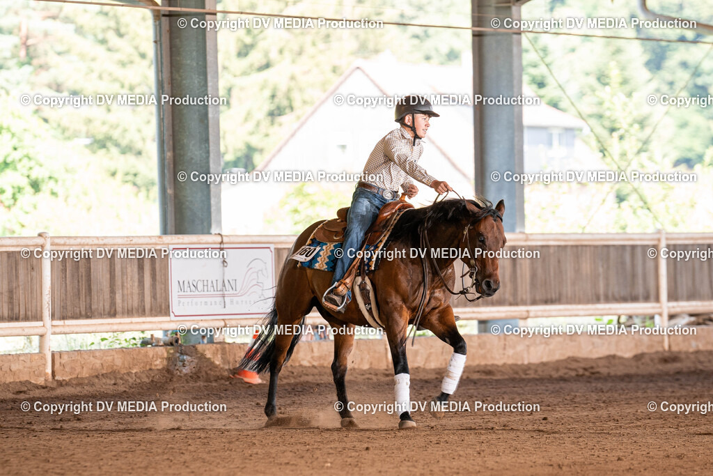 Erbach Tag 2-973 | dv-media-shop - Realisiert mit Pictrs.com