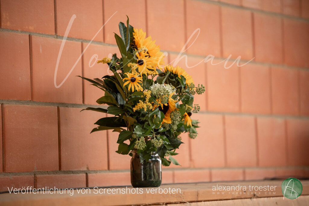 250912_Barop_06_032 | farbklaex.com