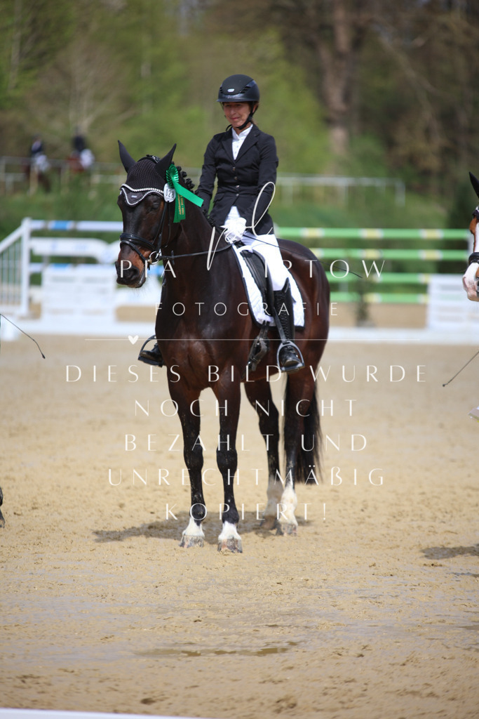 IMGT4406 | pl-fotografie