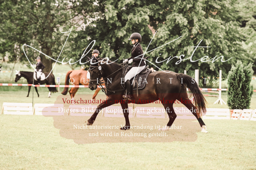 DSC_4909 | Pferde- und Turnierfotografie in Westsachsen. Pferdeportraits, Auftragszeichnungen und intuitive Kunst.
