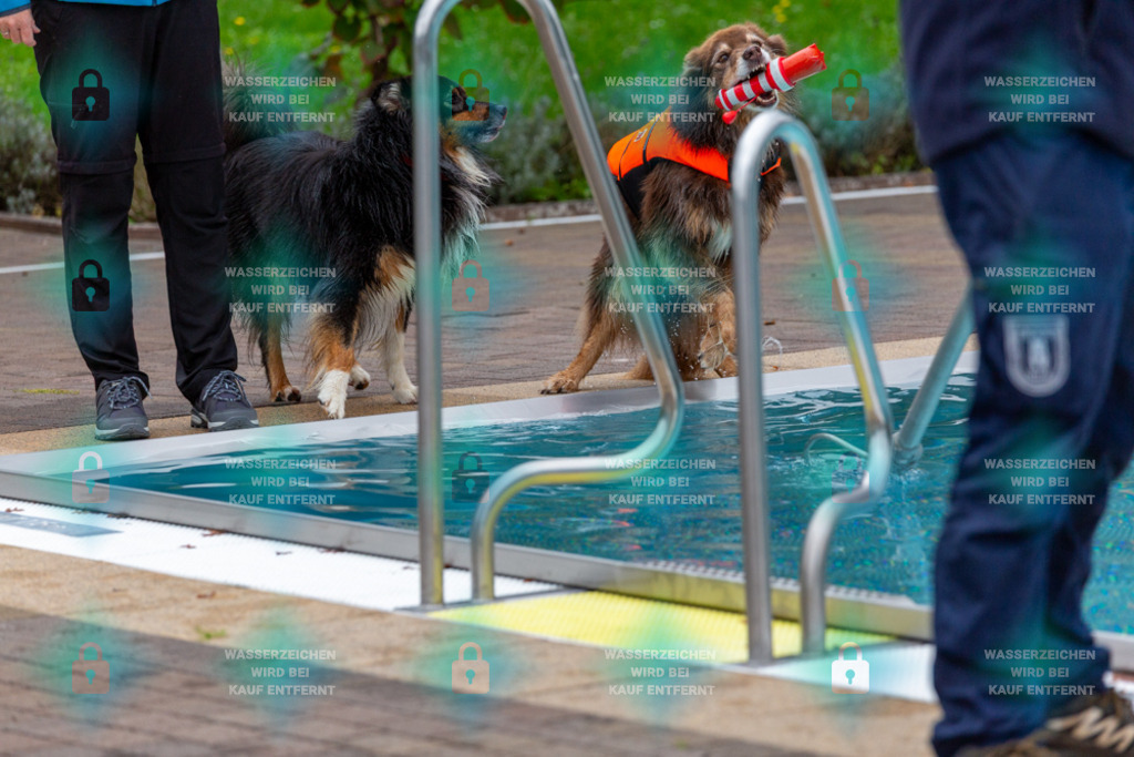 _HP_6073_1000o | HetPix, HetPix Fotodesign, Fotografie, Fotodesign, Webshop, Sportfotografie, Portraitfotografie, Onlineshop, Sportfotografie, Polch, Motorsportfotografie, Eventfotografie