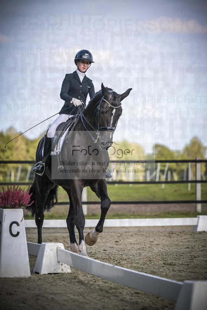 DOS_4370 | Entdecke hochwertige Reitturnierfotos von Foto Oger. Professionell, emotional und authentisch – jetzt Lieblingsmomente im Shop bestellen.Deutschlandweite Turnierfotografie. - Realisiert mit Pictrs.com