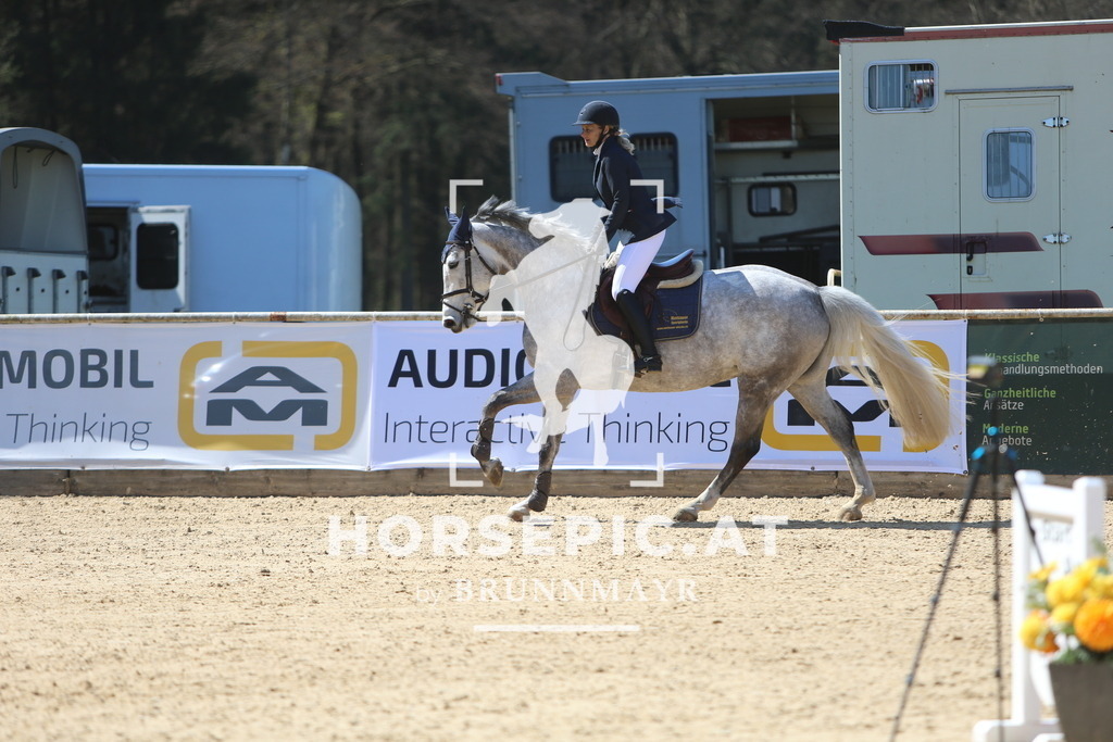 DL2Q0230 | Willkommen bei Brunnmayr - Design & Fotografie – Ihrem Spezialisten für Reitturniere und Pferdeveranstaltungen in Oberösterreich, Salzburg und Bayern! Seit über 17 Jahren sind wir leidenschaftlich dabei.
