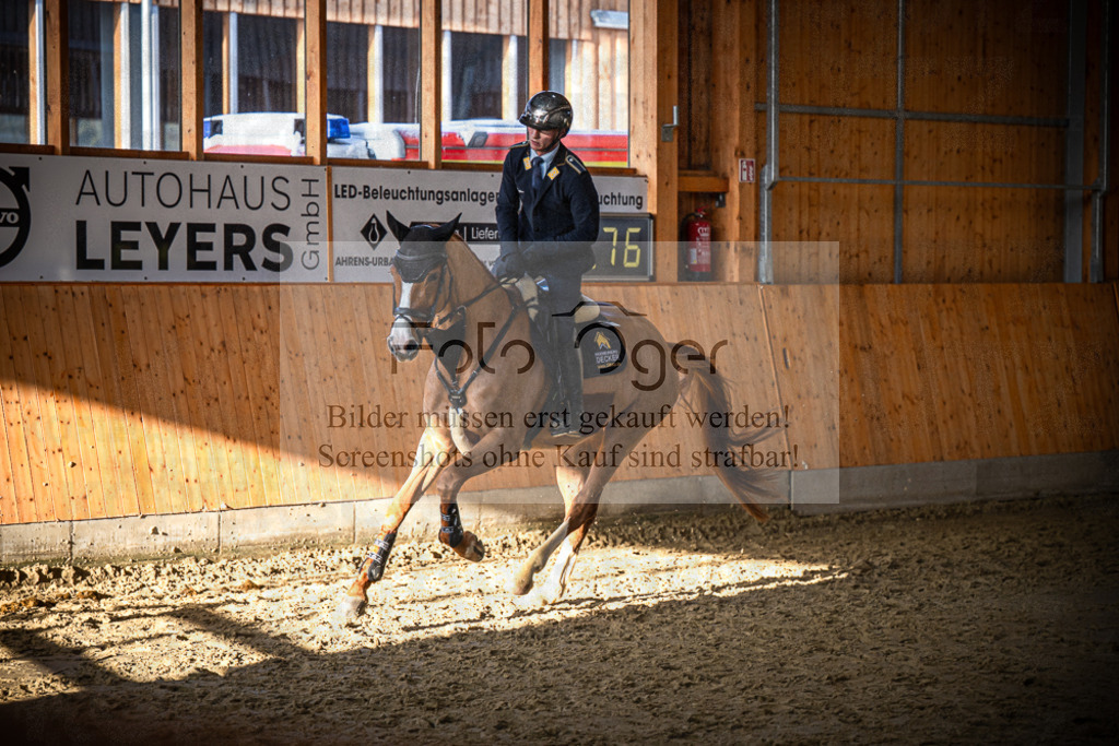 DOS_1235 | Entdecke hochwertige Reitturnierfotos von Foto Oger. Professionell, emotional und authentisch – jetzt Lieblingsmomente im Shop bestellen.Deutschlandweite Turnierfotografie. - Realisiert mit Pictrs.com