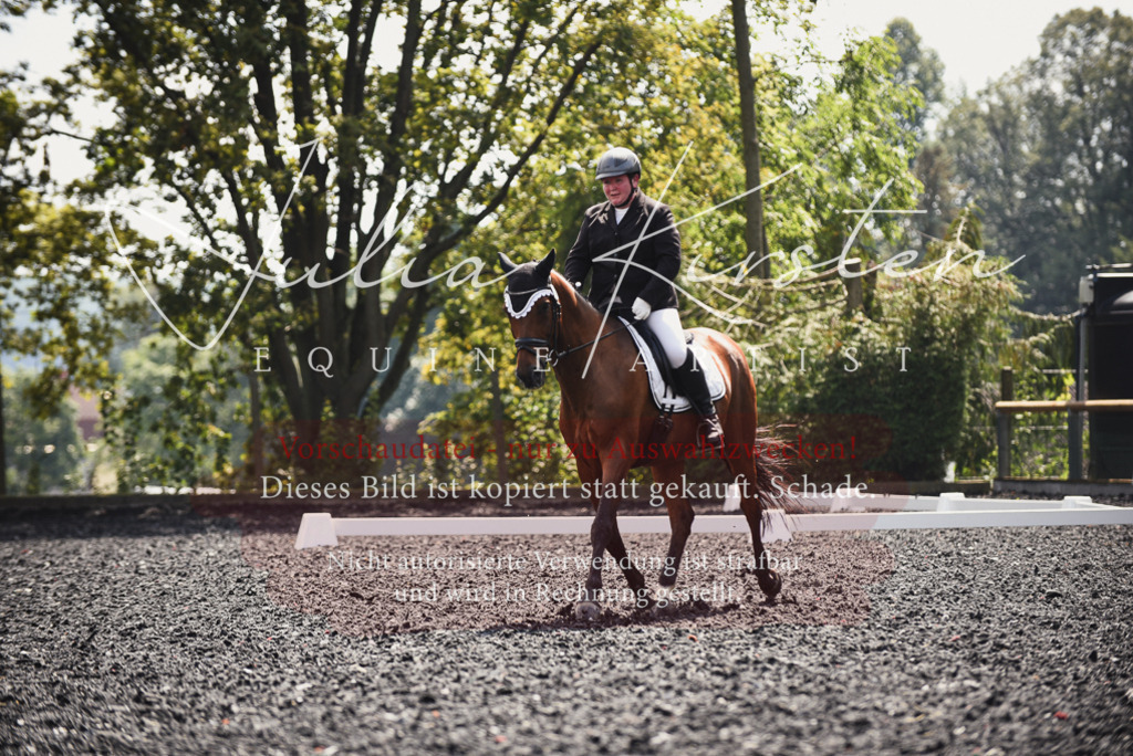 DSC_4165 | Pferde- und Turnierfotografie in Westsachsen. Pferdeportraits, Auftragszeichnungen und intuitive Kunst.
