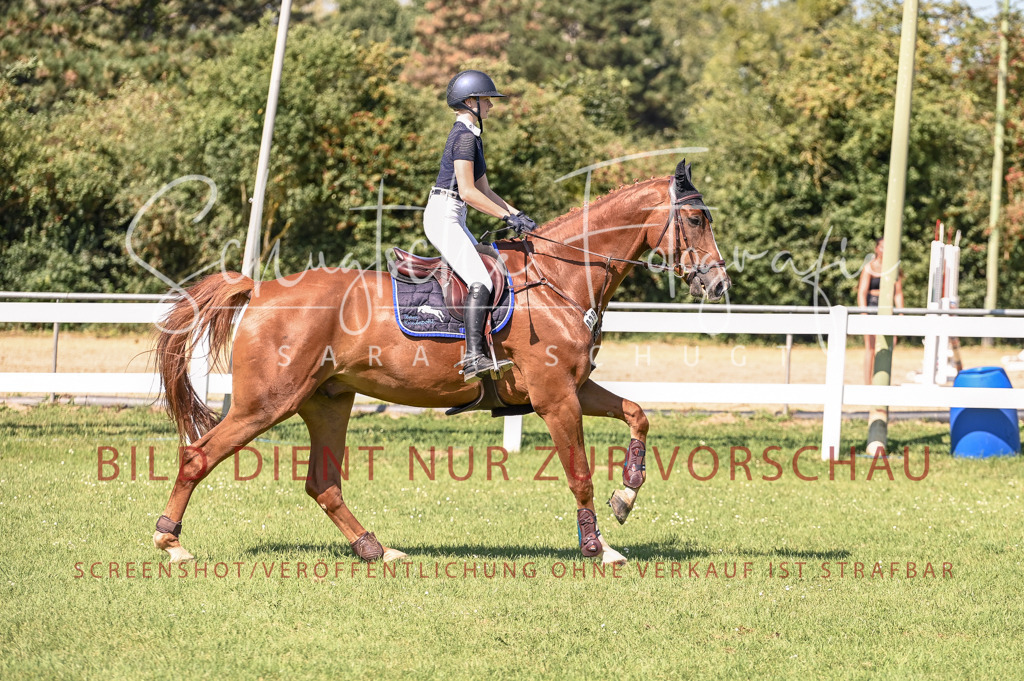 Schugtsche-Düren.2024-06.Stilspringprf.A_-13 | Schugtsche Fotografie - Realisiert mit Pictrs.com