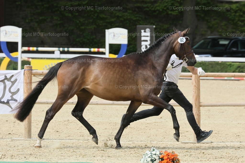 ZentrStuteintrWarend220625K-Nr.92 MC3H5A5875B1 | Pferdefotos online bestellen - Realisiert mit Pictrs.com