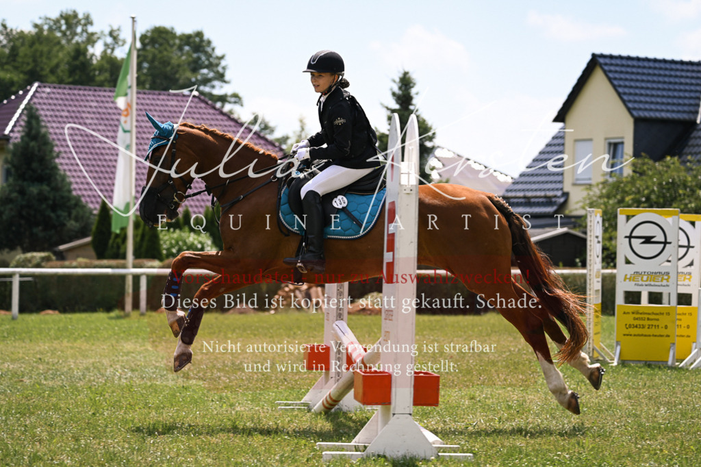 DSC_9257 | Pferde- und Turnierfotografie in Westsachsen. Pferdeportraits, Auftragszeichnungen und intuitive Kunst.