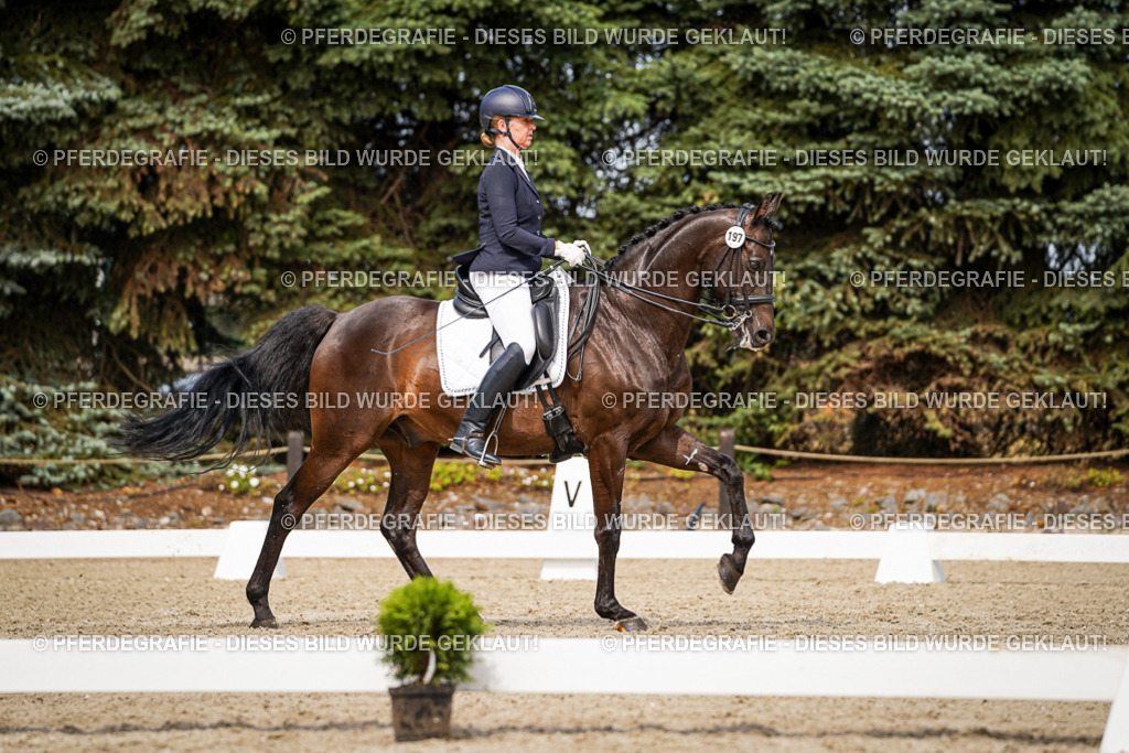 DSC05894 | Pferdegrafie