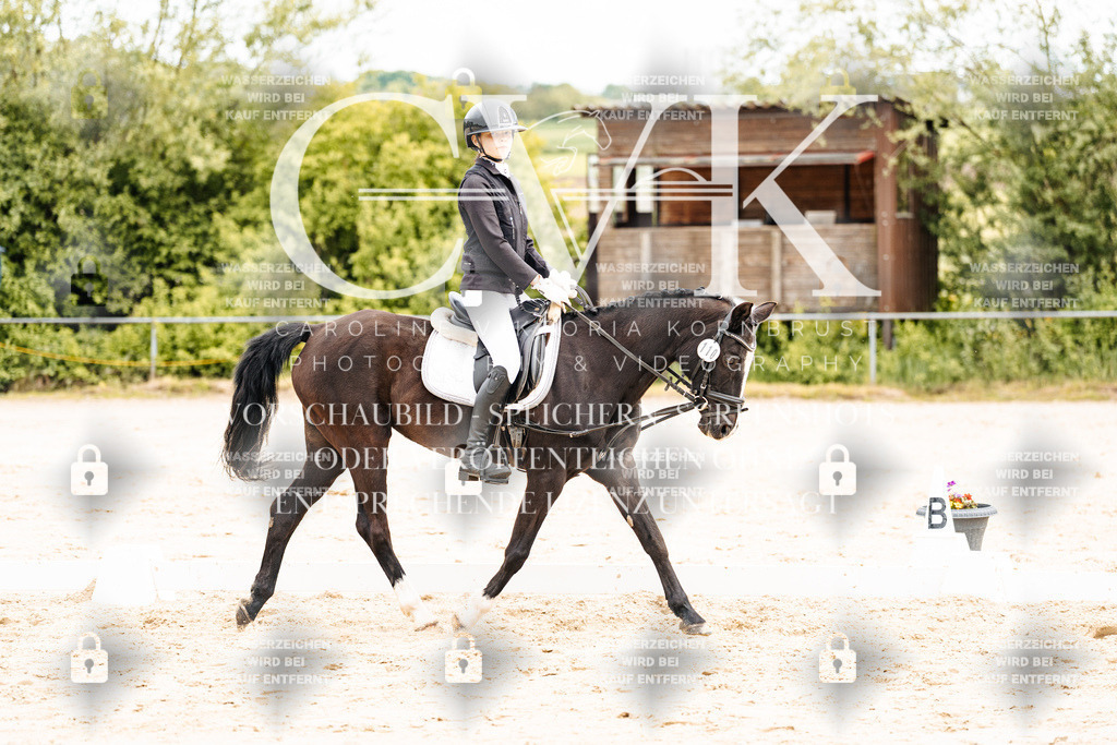 CK904253 | Turnierfotografie Pferdefotografie Trier Rheinland-Pfalz Pferdesport Reitsport Tierfotografie Sportfotografie Pferdevideo Pferdevideografie Equestrianvideography equestrianphotography  - Realisiert mit Pictrs.com