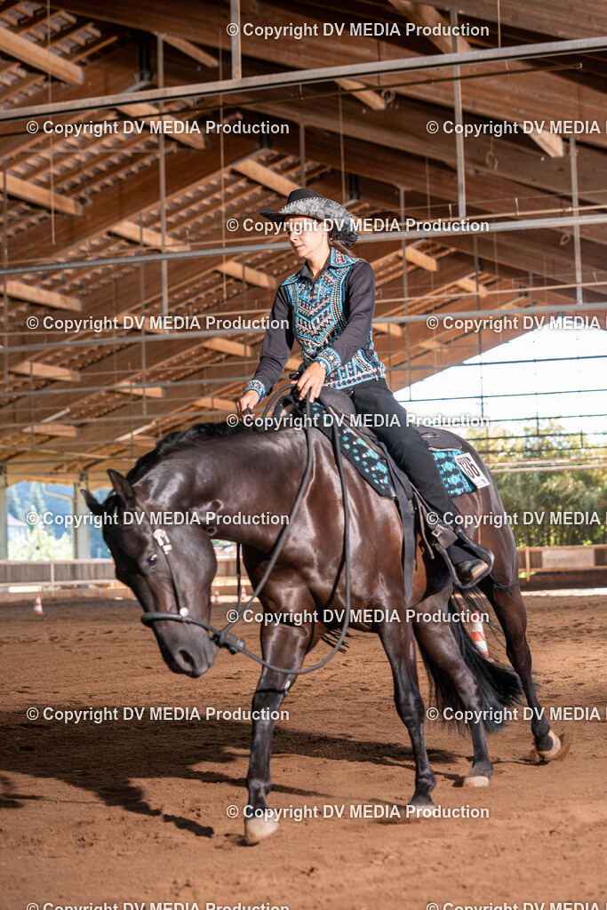 Erbach Tag 3-330 | dv-media-shop - Realisiert mit Pictrs.com