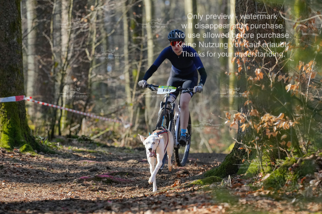 Bike_So-25 | stephaniefillaphotographie - Realisiert mit Pictrs.com