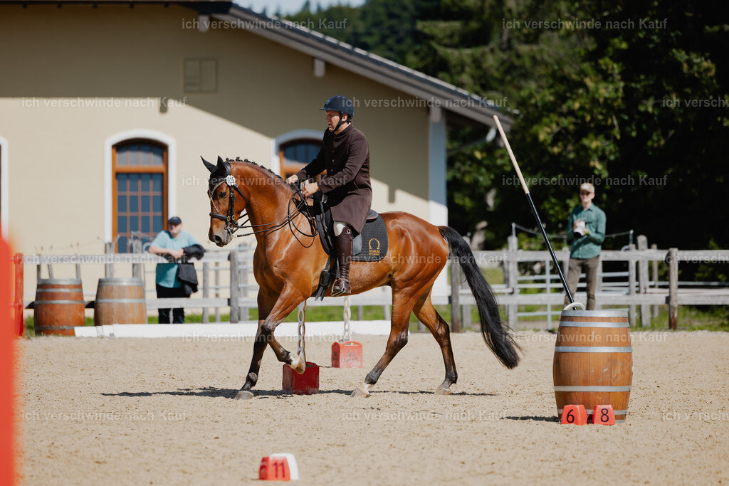 Gernot25_FHC2025-27017 | working equitationturnier fotograf videograf stoibphotography marixx film working equitation deutschland reitsport turnierfotografie eventfotografie equestrian events