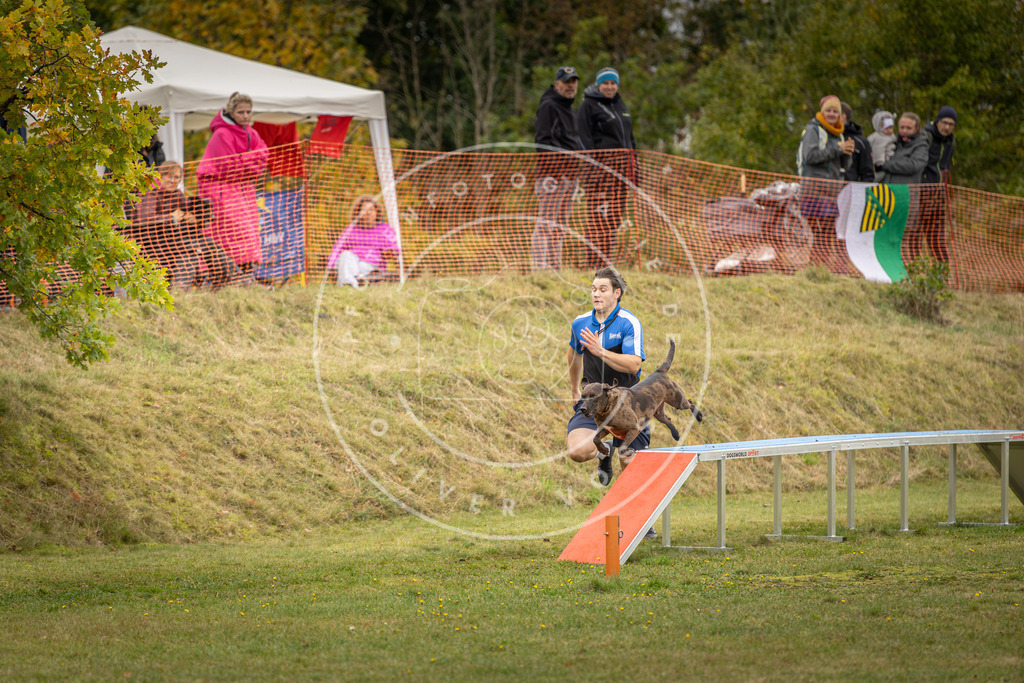 Pfotenfotografie_DV3A6001 | Hundefotografie, Tierfotograf, Pfotenfotografie, Fotoshooting Hund, Hunde Portrait, Hundesport, Hundeportraits, Heideshooting, Hunde, Sportfotograf, Hundefotograf, Turnierhundsport, THS,  - Realisiert mit Pictrs.com