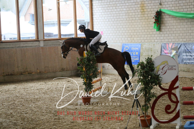 IMG_0610 | Turnierfotos kaufen im Webshop von Daniel Kuhl Photography – entdecke professionelle Reitsportfotos aus Turnieren & Events. Hochwertige Turnierbilder online bestellen & sichern. Jetzt Fotos von Reitsportturnieren kaufen!