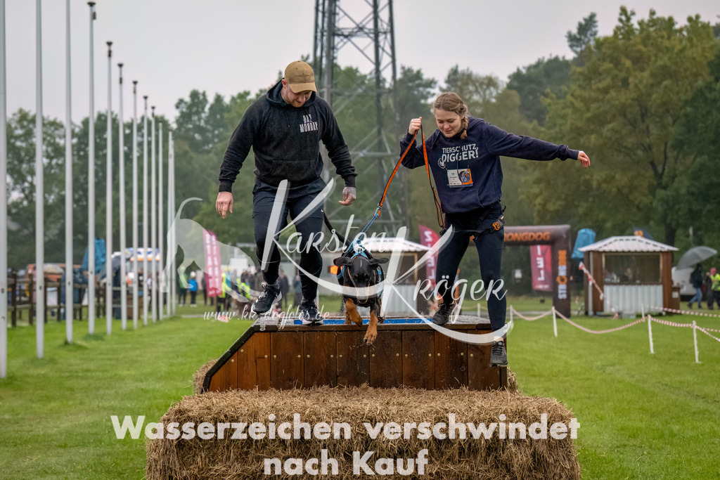 1017--8 | kk-dogfotos