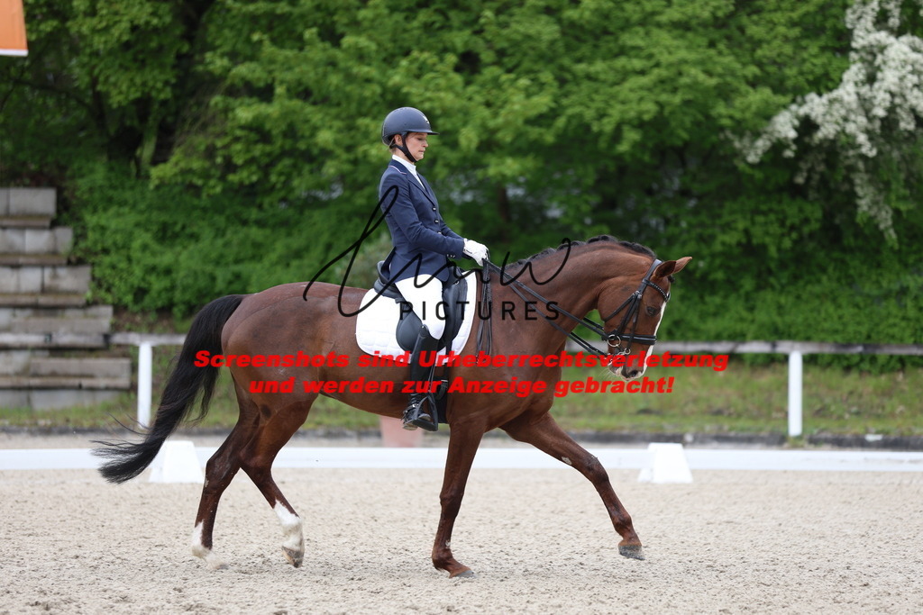 A40A0581 | lmwpictures - Realisiert mit Pictrs.com