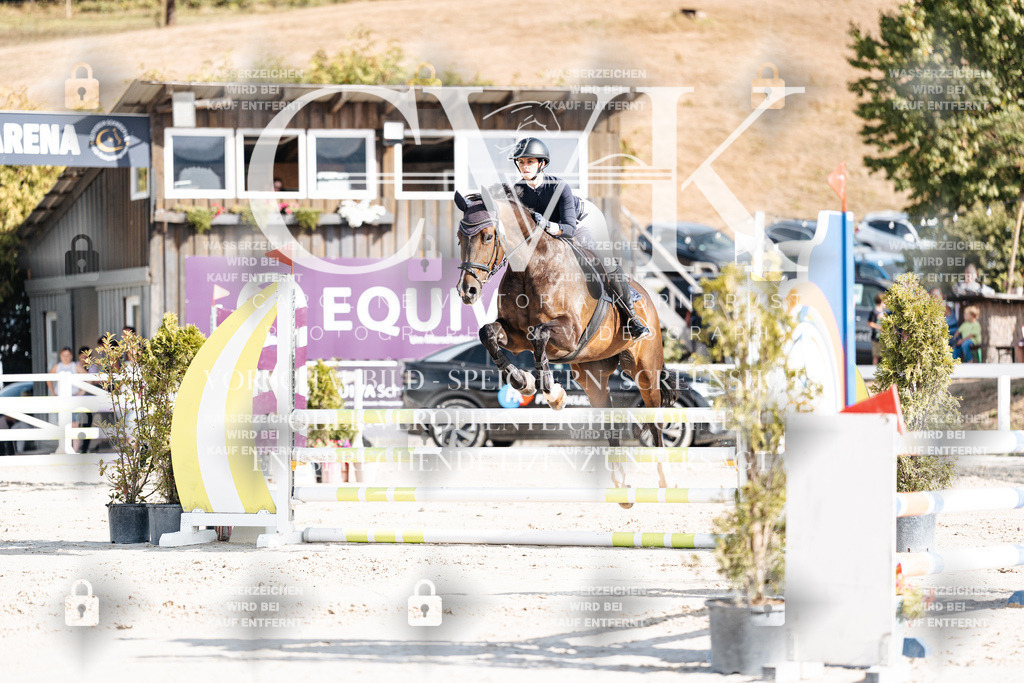 CK909195 | Turnierfotografie Pferdefotografie Trier Rheinland-Pfalz Pferdesport Reitsport Tierfotografie Sportfotografie Pferdevideo Pferdevideografie Equestrianvideography equestrianphotography  - Realisiert mit Pictrs.com