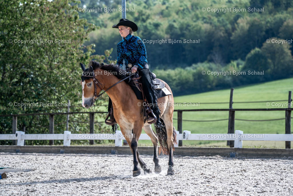 HOB00559 | BS-foto
