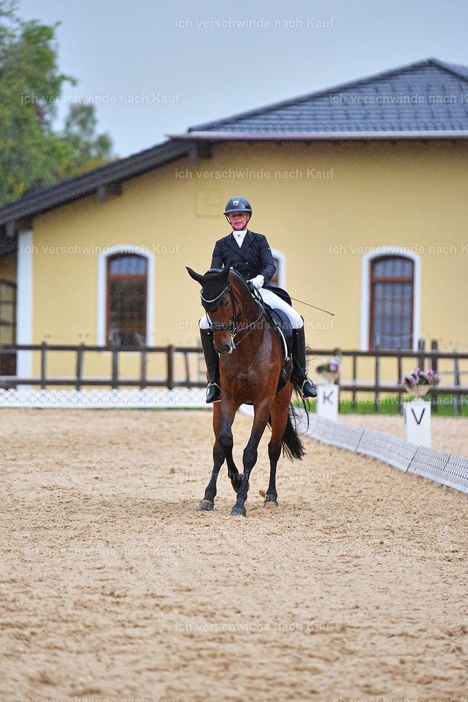 8_1-020-Klasse S_  -Marixx-4367 | working equitationturnier fotograf videograf stoibphotography marixx film working equitation deutschland reitsport turnierfotografie eventfotografie equestrian events