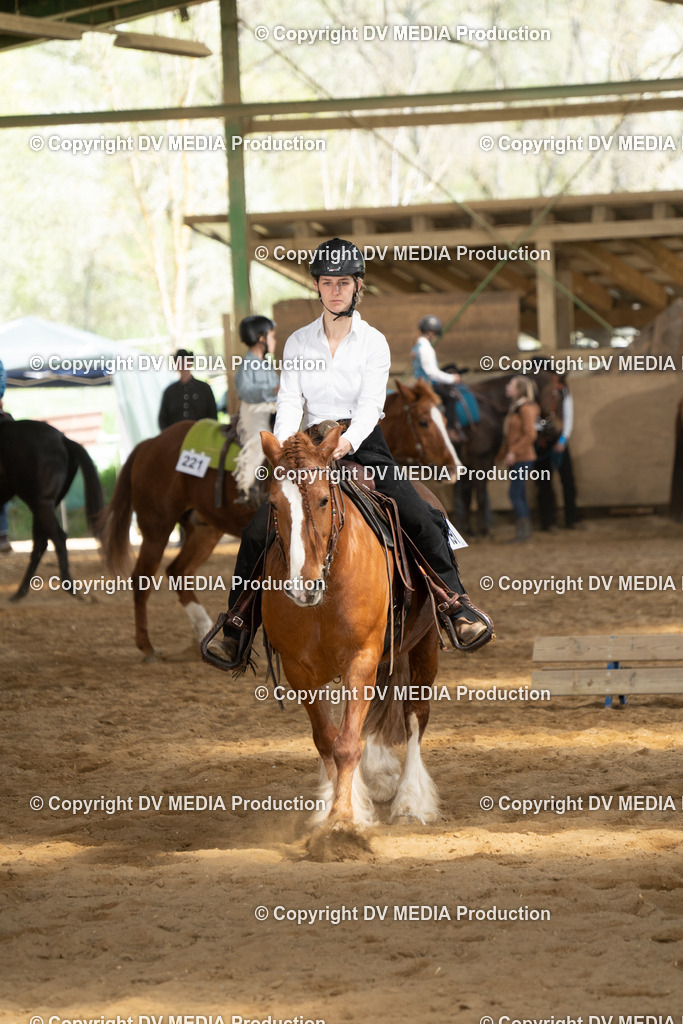 BAL02279 | dv-media-shop - Realisiert mit Pictrs.com