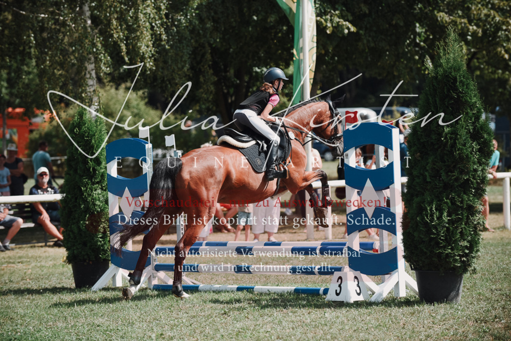 DSC_5631 | Pferde- und Turnierfotografie in Westsachsen. Pferdeportraits, Auftragszeichnungen und intuitive Kunst.