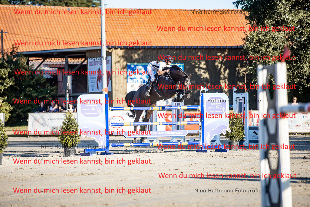 BK1A8420 | Turnierbilder Turnierfotos Nina Hüffmann Turnierfotografie Pferdefotografie Tierzeichnung Haustierzeichnung Pferdezeichnung Hundezeichnung Videograf  - Realisiert mit Pictrs.com