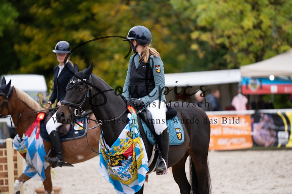 A7V09241 | Pferdefotograf