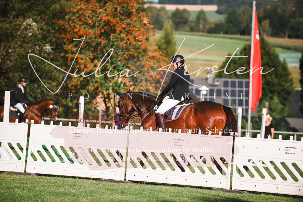 DSC_2133 | Pferde- und Turnierfotografie in Westsachsen. Pferdeportraits, Auftragszeichnungen und intuitive Kunst.