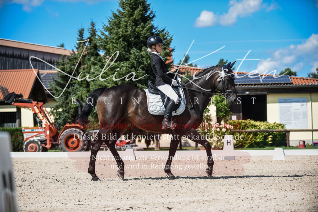 DSC_9544 | Pferde- und Turnierfotografie in Westsachsen. Pferdeportraits, Auftragszeichnungen und intuitive Kunst.