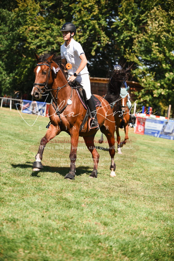 DSC_2955 | Pferde- und Turnierfotografie in Westsachsen. Pferdeportraits, Auftragszeichnungen und intuitive Kunst.