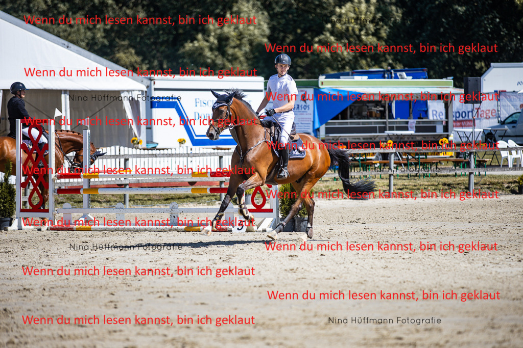 BK1A5491 | Turnierbilder Turnierfotos Nina Hüffmann Turnierfotografie Pferdefotografie Tierzeichnung Haustierzeichnung Pferdezeichnung Hundezeichnung Videograf  - Realisiert mit Pictrs.com
