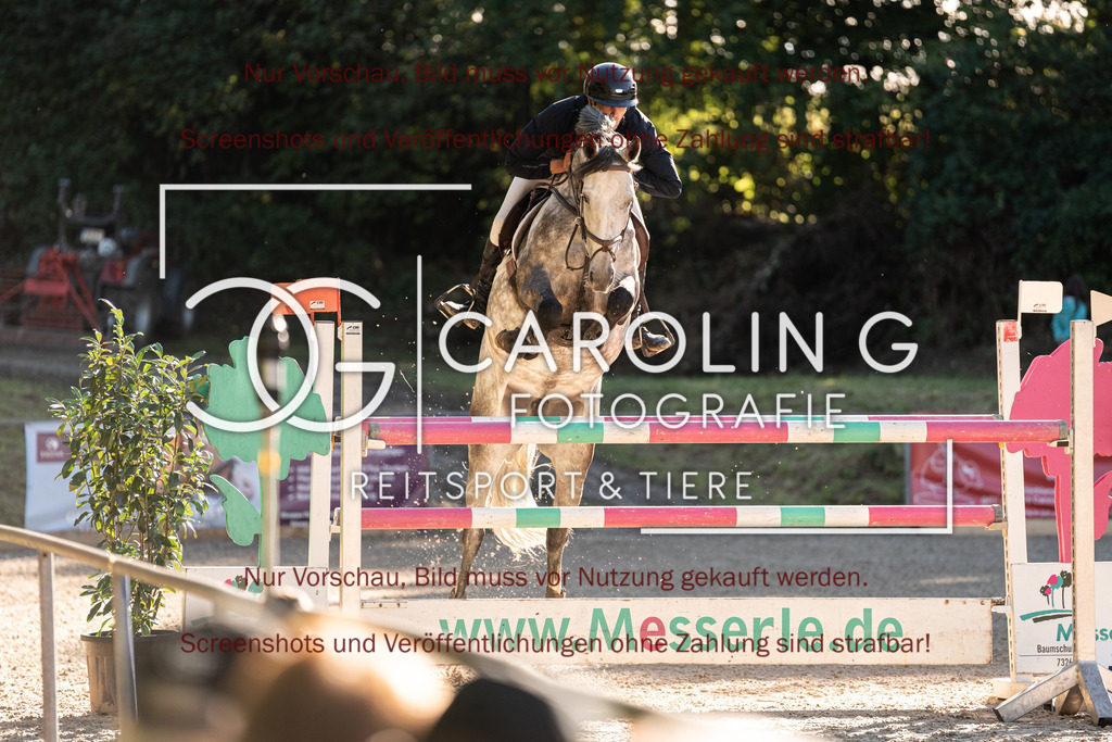 DSC04423 | Turnierfotografin Carolin Gieschke, Turnierfotografie Carolin G Fotografie, Turnierfotos Kirchheim/Teck, Esslingen, Stuttgart, Bodenseekreis