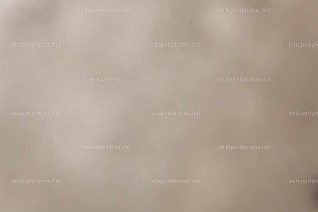 JoYaR3_Thomashof_00353 | JoYa Fotografie - Realisiert mit Pictrs.com