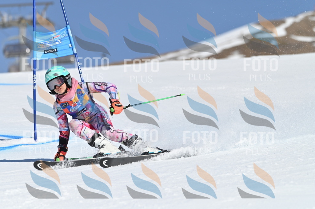 BGV_7938 | holidayphoto