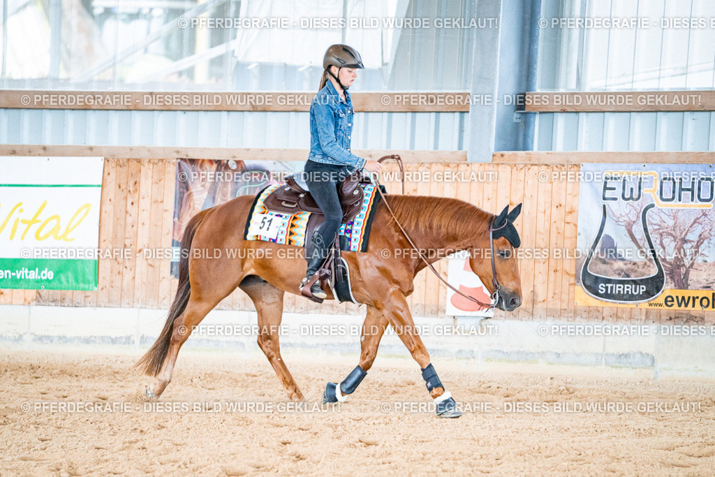 DSC09458 | Pferdegrafie