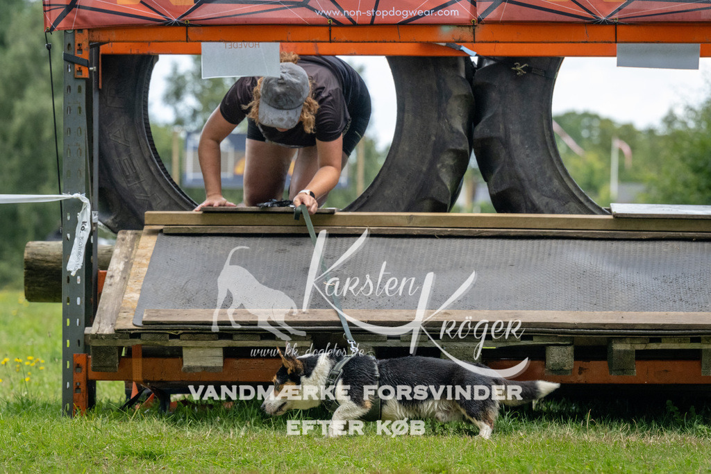 1309_ZZ94601 | kk-dogfotos
